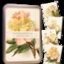 Nostalgic Floral Botanical Postcards In A Tin | 20 Pcs, thumbnail 7 of 12