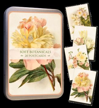 Nostalgic Floral Botanical Postcards In A Tin | 20 Pcs, 7 of 12