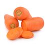 Vegetable Plants Carrot 'Chantenay' Full Plant Pack, thumbnail 5 of 7