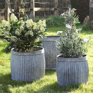 Personalised Plant Pots and Planters | notonthehighstreet.com