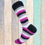 Lgbtq+ Asexual Colours Socks, thumbnail 1 of 2