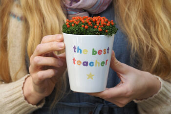 Personalised Teacher Or Teaching Assistant Plant Pot, 4 of 6