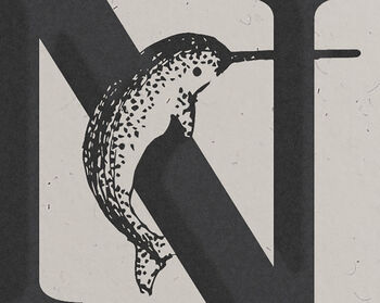 N Is For Narwhal, Alphabet Card, 2 of 3
