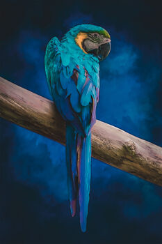The Sapphire Sentinel – Blue Macaw Art, 2 of 5