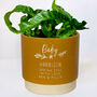 Personalised Baby Shower Indoor Plant Pot, thumbnail 1 of 6