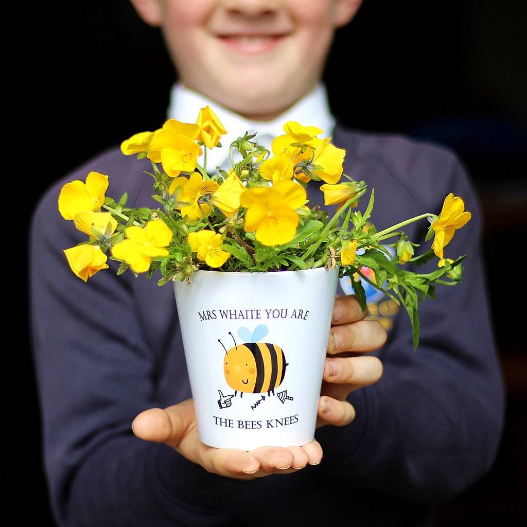You Are The Bees Knees Teacher Plant Pot, 1 of 3