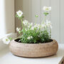Marbury Round Rattan Table Planter, thumbnail 1 of 8