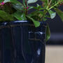 Personalised Blue Welly Boot Planter, thumbnail 5 of 7