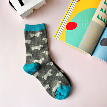Sausage Dog Socks In A Box, 3 of 6