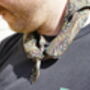 Mens Black Mixed Paisley Print Neckerchief, thumbnail 3 of 12