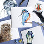 Water Wildlife Collection Blank Greeting Card Pack, thumbnail 1 of 7