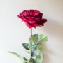 Faux Roses With Eucalyptus In A Vase, thumbnail 3 of 4