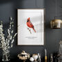 Northern Cardinal Bird Illustration Print, thumbnail 5 of 6