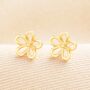 Flower Outline Stud Earrings In Gold With Flower Backs, thumbnail 1 of 3
