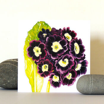 Auricula Greetings Card, 5 of 5