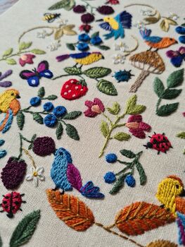 Birds, Bugs And Berries, Hand Embroidery Kit, 5 of 12
