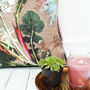 Tropical Design Throw Pillow, Scatter And Sofa Cushion, thumbnail 3 of 4