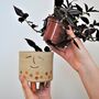 Personalised Ceramic Tripod Face Planter With Leaves, thumbnail 6 of 8
