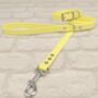 Waterproof Dog Collar And Lead Set Sherbet Lemon S, thumbnail 1 of 3