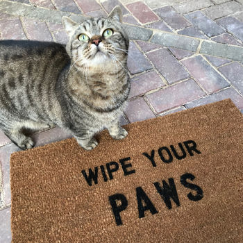 'Wipe Your Paws' Coir Doormat, 3 of 4