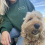 Sorry I Can’t I Have Plans With My Dog Sweatshirt, thumbnail 3 of 4