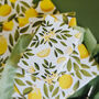 Lemon Blossom Gift Wrap – Elegant Citrus Wrapping Paper For Spring And Summer Gifting, thumbnail 3 of 5
