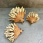 Set Three Handmade Hedgehog Ornaments Coconut, thumbnail 4 of 12