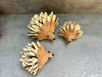 Set Three Handmade Hedgehog Ornaments Coconut, 4 of 12