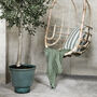 Large Emerald Ribbed Planter In Two Sizes, thumbnail 1 of 2