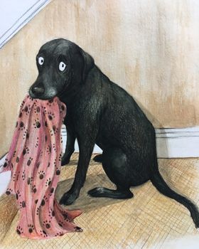Personalised Pet Portrait Illustration, 6 of 10