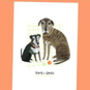 Personalised Illustrated Pet Portrait, thumbnail 7 of 12