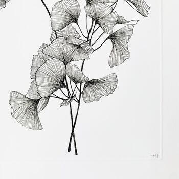 Gingko Biloba Original Botanical Illustration, 4 of 5