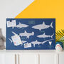 Shark Magnetic Noticeboard, thumbnail 1 of 4