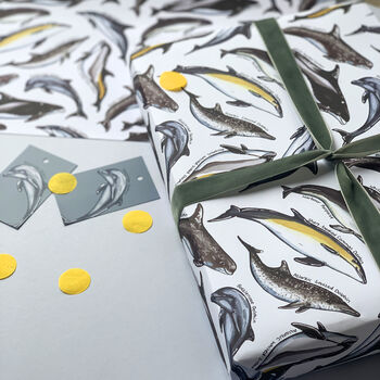 Dolphin Species Wrapping Paper Set, 4 of 10