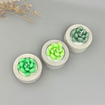 Green Succulent Candles In Handmade Concrete Pots, 9 of 12