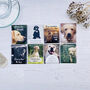 Labrador Lovers Tea Gift Set, thumbnail 10 of 12