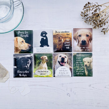 Labrador Lovers Tea Gift Set, 10 of 12