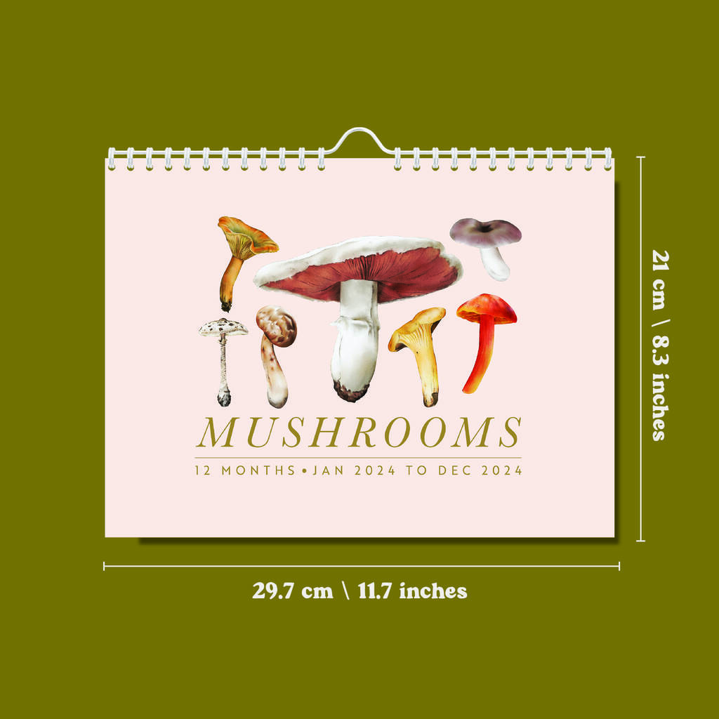 2024 Calendar Mushroom A4 By Once Upon A Tuesday   Original 2024 Calendar Mushroom A4 