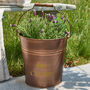 Personalised Vintage Copper Garden Bucket Planter, thumbnail 1 of 5