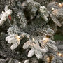 Halden Snowy Pre Lit Potted Christmas Tree, thumbnail 3 of 4
