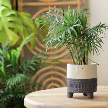 Ceramic 'Arnold' Planters In Grey, 4 of 4