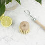 Sustainable Wood Replaceable Head Dish Brush, thumbnail 9 of 11