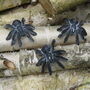 Set Of Three Cast Iron Tarantulas, thumbnail 3 of 7