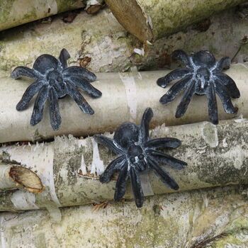Set Of Three Cast Iron Tarantulas, 3 of 7