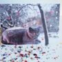 British Blue Cat With Stars Christmas Card, thumbnail 1 of 4