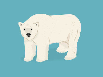 Personalised Polar Bear Print, 2 of 6