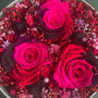 Preserved Rose Secret Bloom Box With Bracelet, thumbnail 4 of 9