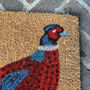Pair Of Proud Pheasant Coir Doormats, thumbnail 2 of 6