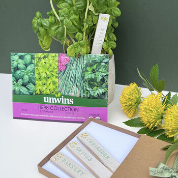 Grow Your Own Herbs Gift Set, 8 of 8
