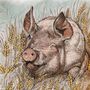 'Pig And Wheat' Print, thumbnail 3 of 3